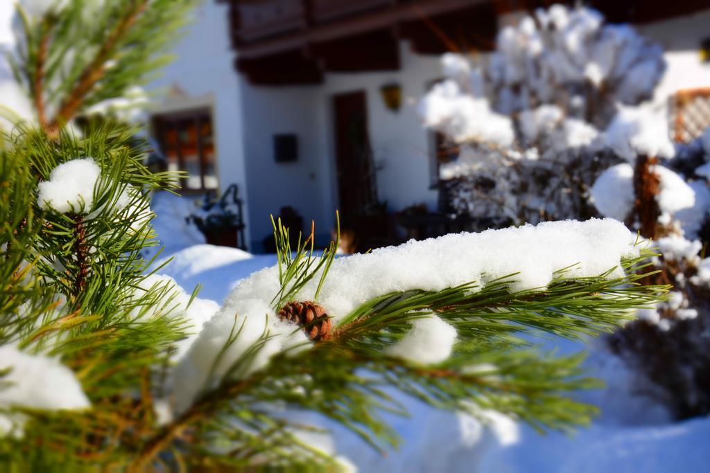 Haus Tirolerland Hotell Mayrhofen Exteriör bild